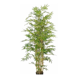 Arvore Bambu 120cm Verde Planta Artificial Flores 2 Galhos Menor preço em Arvore Bambu 120cm Verde Planta Artificial Flores 2 Galhos