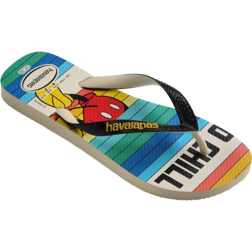 Chinelos store havaianas 2019