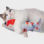 Conjunto De Brinquedos De Gato De Contorno. Jogos Para Gatinhos. Bens E  Acessórios Para Pet Shop. Página De Colorir Para Crianças Com Suprimentos  Para Animais Domésticos. Ilustrações Vetoriais Isoladas Em Estilo De