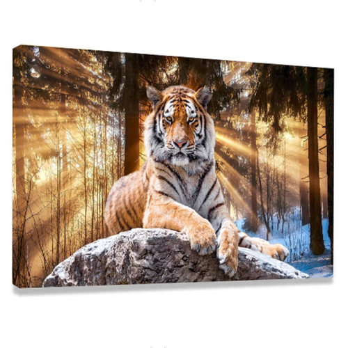 Kit 02 Quadros Decorativo Tigre Sala em Full Hd e 4k