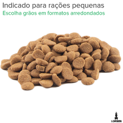 Menor preço em Comedouro Alimentador Automático Programável Pet Cão e Gato
