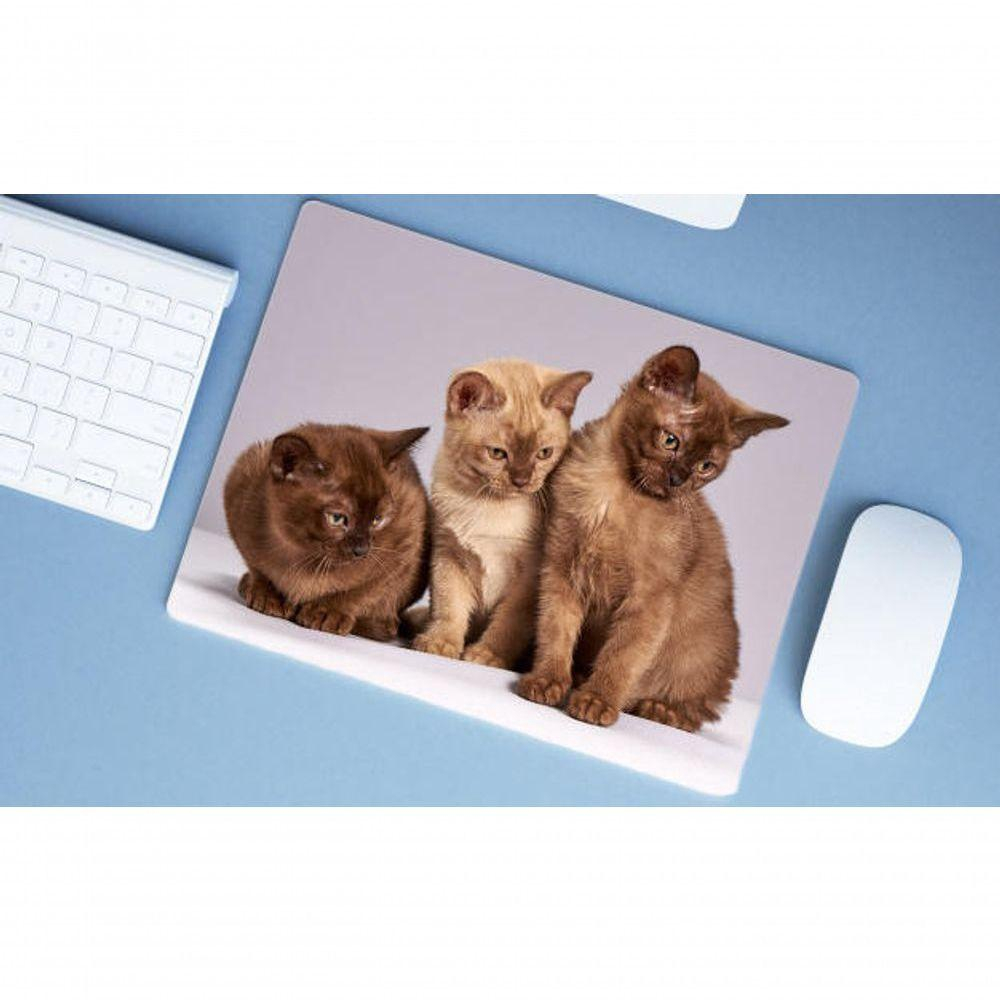 Mouse Pad Gatos Cat Felino, 40x30 Burmese, O Einstein No Shoptime