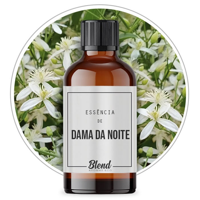 Essência Dama da Noite POP (100ml)