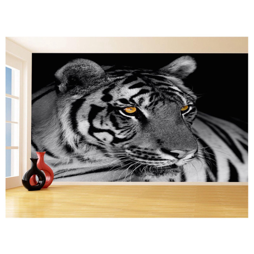 Papel De Parede 3D Animais Tigre Rosto Olhando 3,5M Anm557 - Você