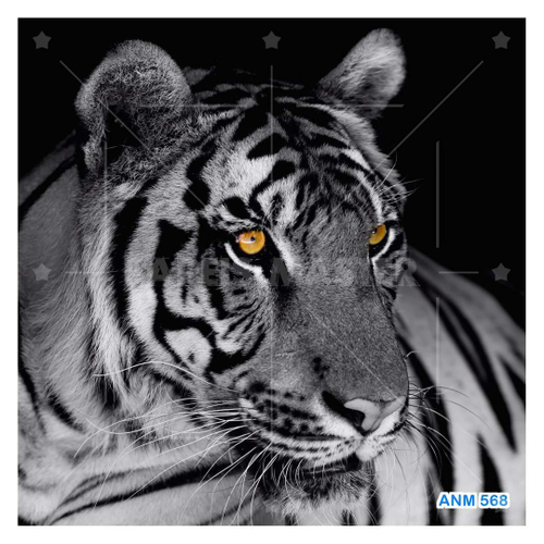 Papel De Parede 3D Animais Tigre Preto E Branco 3,5M Anm559 - Você Decora -  Papel de Parede - Magazine Luiza