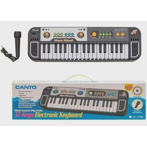 Brinquedo Piano Eletrônico, Teclado de Piano Infantil Atraente Estimulante  da Imaginação Desenho Animado Multifuncional Com Partitura Musical Educação  Infantil de 0 a 3 Anos : : Instrumentos Musicais