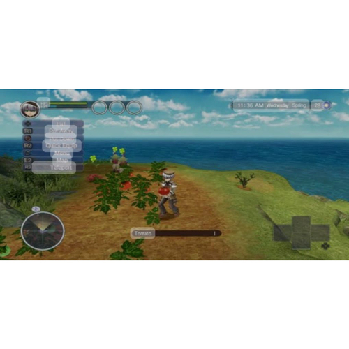 Rune Factory Tides Of Destiny - Wii em Promoção na Americanas