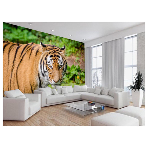 Papel De Parede 3D Animais Tigre Rosto Olhando 3,5M Anm557 - Você