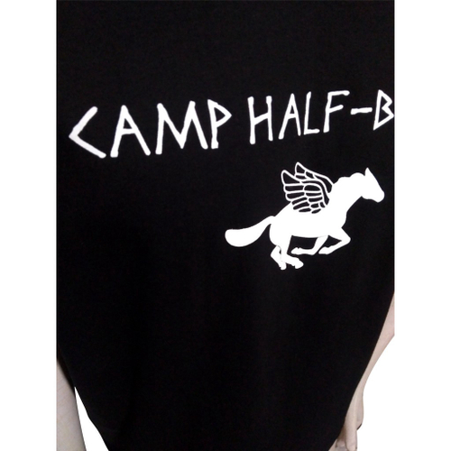 Camiseta Raglan Camp Half Blood / Acampamento Meio-Sangue / Percy Jackson -  Cor Laranja Manga Preta em Promoção na Americanas