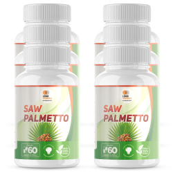 Saw Palmetto 500Mg 60 Cápsulas Kit Com 6 Potes Menor preço em Saw Palmetto 500Mg 60 Cápsulas Kit Com 6 Potes