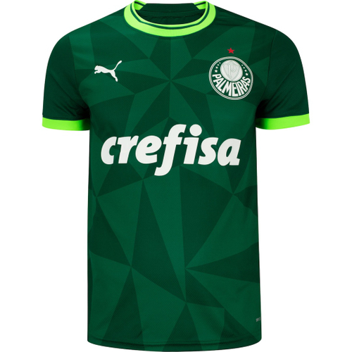 Camiseta Palmeiras Campeão Mundial Estilo Quebrada Premium em Promoção na  Americanas