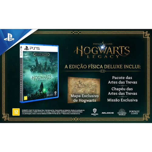 Harry Potter Hogwarts Legacy Ps4 Mídia Física em Promoção na Americanas