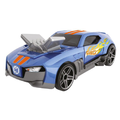 Hot Wheels Porta Carrinho Pista - Fun Divirta-se - Loja ToyMania