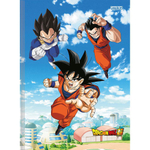 Dragon Ball Super 2 Cahier piqué A5 96 pages Ligné - 3 visuels asso