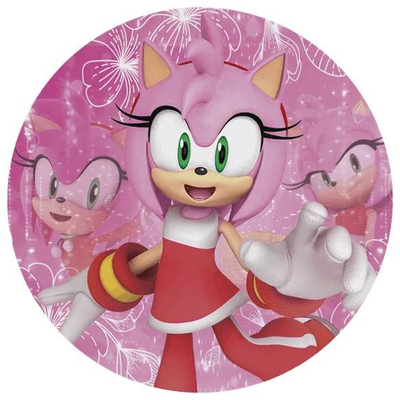 Kit Casado Sonic Amy Rose Painel Redondo Trio Capas Cilindro na Americanas  Empresas