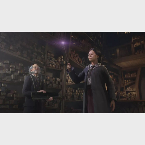 Jogo Harry Potter Hogwarts Legacy Ps4 Mídia Física