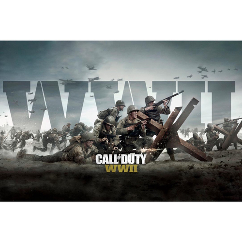 JOGO CALL OF DUTY WWII MIDIA FISICA USADO