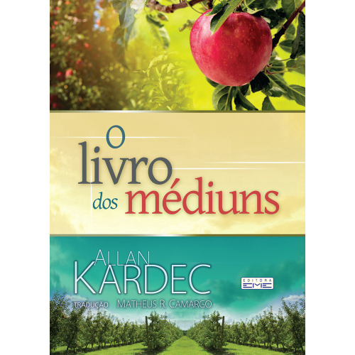 O livro-dos-mediuns - book pdf