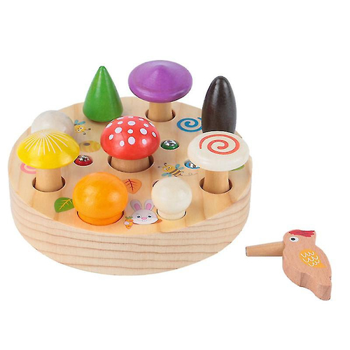 Conjunto de brinquedos magnéticos para crianças,Pica-pau com