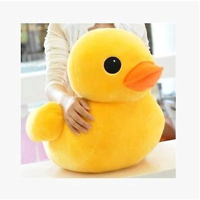 Big 2024 duck teddy