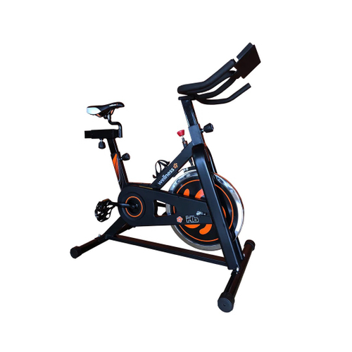 Bici spinning pro discount go f91216 caracteristicas