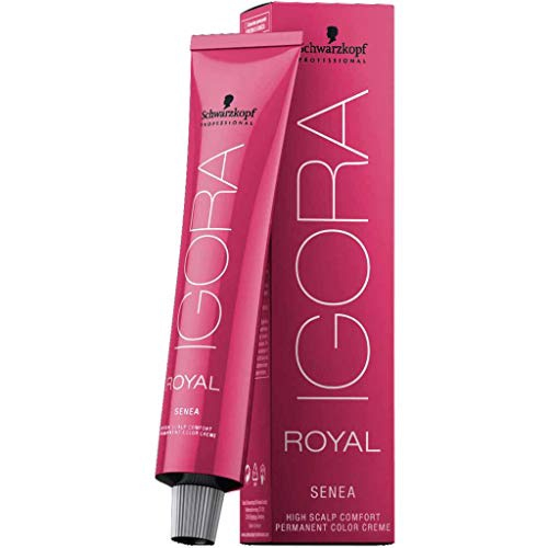 Loreal Kit Dia Richesse Tonalizante 50g - 8.02 Bege Amadeirado +