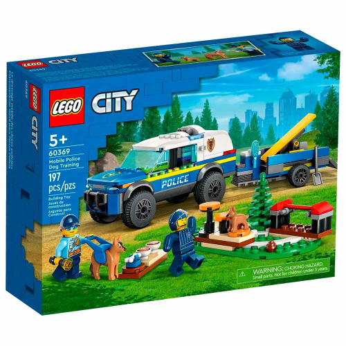 250 Multiblocos-Educativos-Fácil De Montar-Peças  Diversificadas-Colorida-Brinquedo tipo Lego em Promoção na Americanas