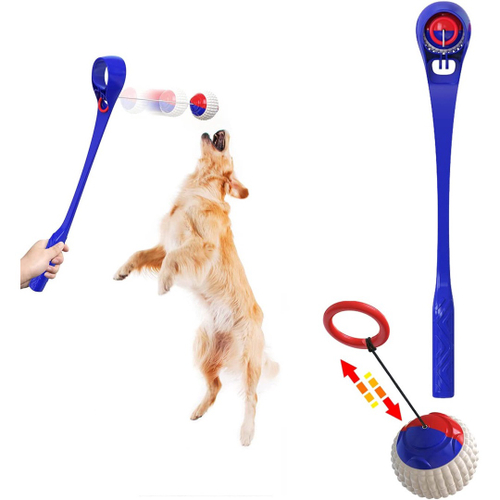 Dog hot sale fetch toy