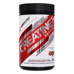 Suplemento Alimentar Creatina Repair 300g Euronutry em Pó