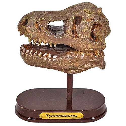 Escavações Fósseis - T-Rex, Brinquedos para Crianças