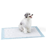 Almofadas de xixi para cães e filhotes de cachorro da Amazon Basics com design à prova de vazamentos e secagem rápida para treinamento de penico, absorção para serviços pesados, X-Large, 28 x 34 polegadas - Pacote de 50