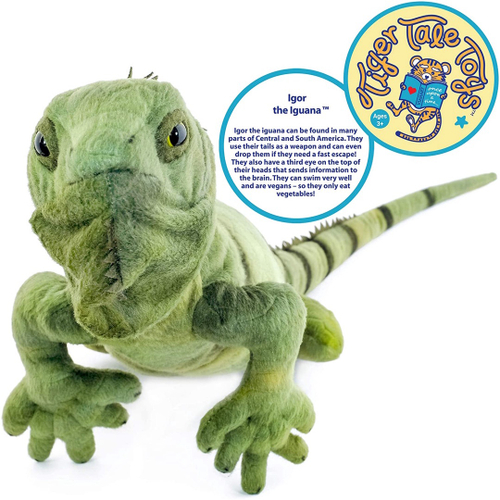 Iguana store soft toy