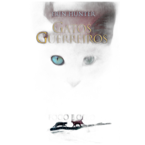 The book= gatos guerreiros