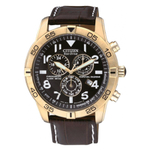 Relógio Citizen Eco-drive Perpetual Calender Chrono Alarm Bl5472-01e