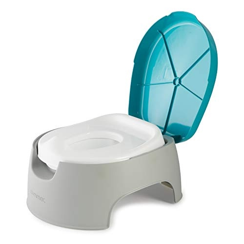 2 in 1 toilet seat on sale