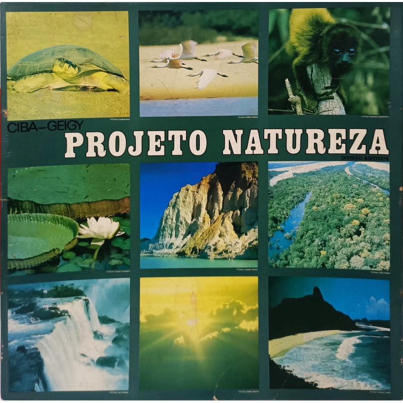 Gal Costa Caetano Veloso Projeto Natureza Box 4 Lp's em Promoção na  Americanas