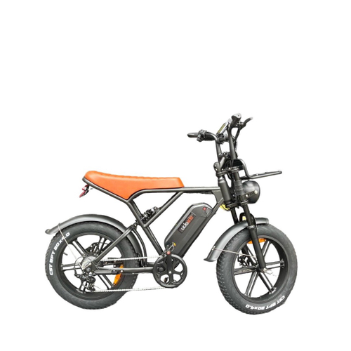 Bicicleta 1000w hot sale