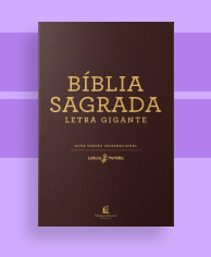 Livro - As guardiãs elementais em Promoção na Americanas